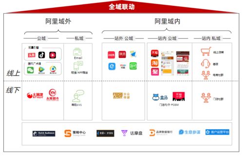 创新驱动长青 高效推新与品牌管理的双螺旋