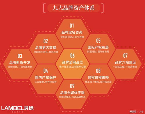 青青国际携手国际品牌管理机构，为参展企业注入全球品牌新动力